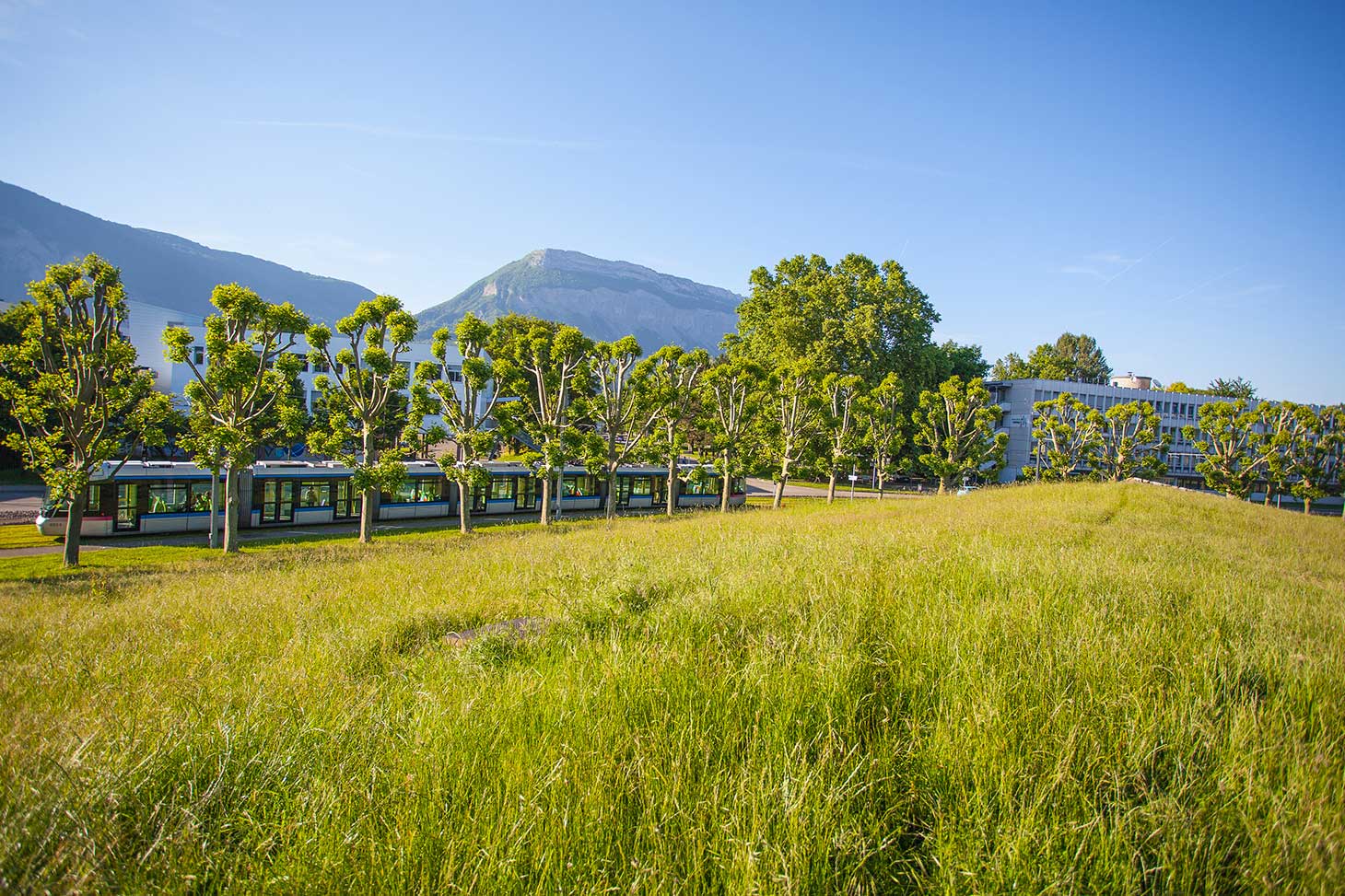 Vue d'un tramway au milieu des espaces naturels du campus de Saint-Martin-d'Hères